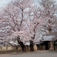 かおる (@kaoru50070) 's Twitter Profile Photo