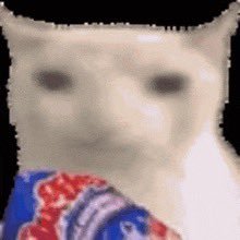 Taiki_Jr's profile picture. what am I even doing here ¿