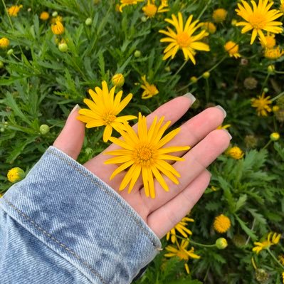 Nhung2024's profile picture. ☺️