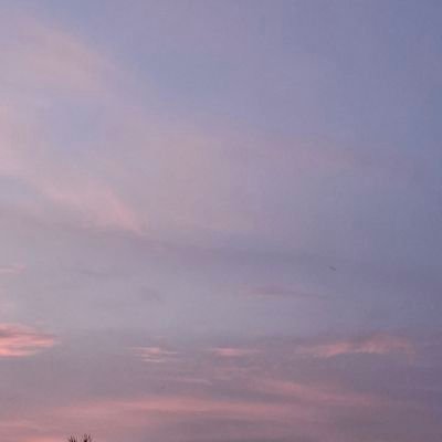 chnt1992's profile picture. 🐥💚