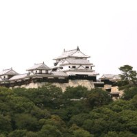 愛媛信教の自由と人権を守る会 (@ehimemachuyama) 's Twitter Profile Photo