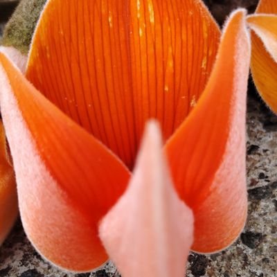 EdutechSol11319's profile picture. Indian politics