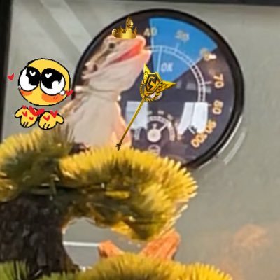 5xZulgah's profile picture. 