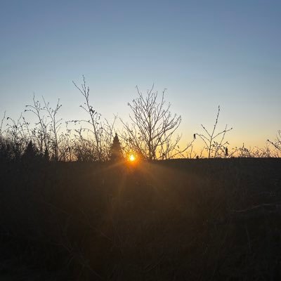 pragmatic009's profile picture. 