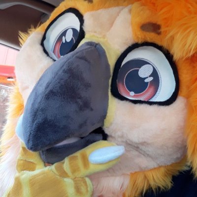 Rytheさんのプロフィール画像
