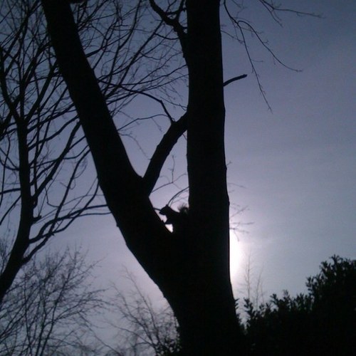 MrsG_90210's profile picture. 