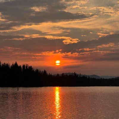 nb494R's profile picture. 