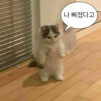 피드에 나를 심어라 본디지계 @dayeon061133 본러팅 🙆♀️ https://t.co/6ev9AnALTW