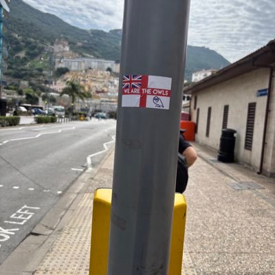 Samking20202's profile picture. wednesday and rangers 🧸🦉🇬🇧 57/92