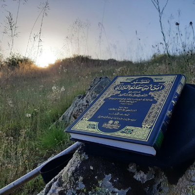 Youssef23w's profile picture. Web application Penetration Tester 🕸️🪲📍