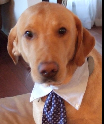 darrinmcc's profile picture. 