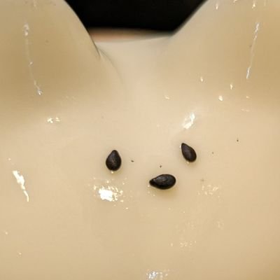 主に北海道のグルメツイートをしています、激辛マニア🔥
ラーメン系がメインになりますが、温泉も好きなのでFOOD〜PLACEまでアップします!是非是非フォローよろしくお願い致します✨