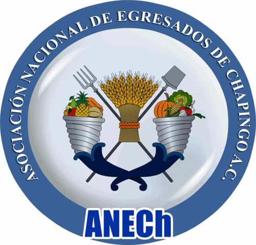 ANECh_AC Profile Picture