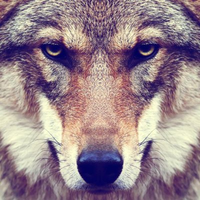 Dr_RogerStein's profile picture. 