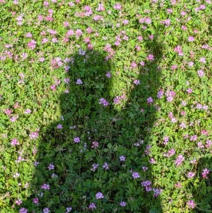 arisan__0704's profile picture. RABにひっそりと大胆にぬるっとはまったオタクです。
絶ぴす前提の小町となり、近隣の保護者さまに心の雄たけびを聞いてもらっています。
リアルに🦉さんと同じ年の息子と🪼さんと同じ年の娘がいます。
子育てが落ち着いたらオタクが復活しました。
家族ももろもろなオタクで家が大変なことになっているアラフィフおば新米小町です。