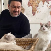 Zehra, (@zehraegrek) 's Twitter Profile Photo Zehra, (@zehraegrek) 's Twitter Profile Photo