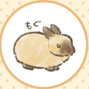 最近また復活!うさ愛半端無い いつまでたってもうさ飼い初心者のうさバカです❤お友達になってくれると喜びます(๑˙︶˙๑)♡♥