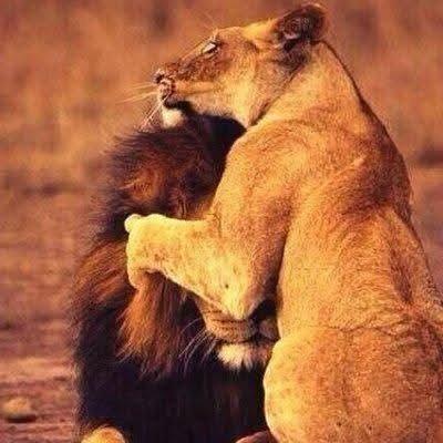 ~ United as one Ummah, we were strong—then they dressed division as 'NATIONALISM' and shattered our unity and weaken us.
• https://t.co/LAvSIsfA4z