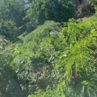 Canan mert (@c_mert67299) 's Twitter Profile Photo