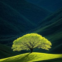 burak aras (@burak33111aras) Twitter profile photo