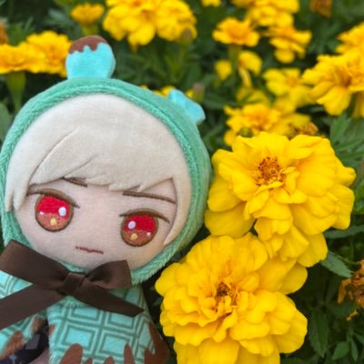 信乃*さんのプロフィール画像