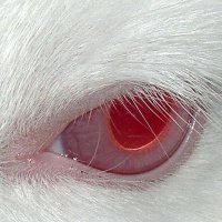 ? (@callme_9text) 's Twitter Profile