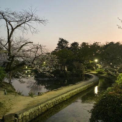 mi10s_'s profile picture. 食に振り回されるだけの人生。 #fjk #拒食症 #摂食障害 #SAM症候群 #上腸間膜動脈症候群 🔥🐸❓回復期❓