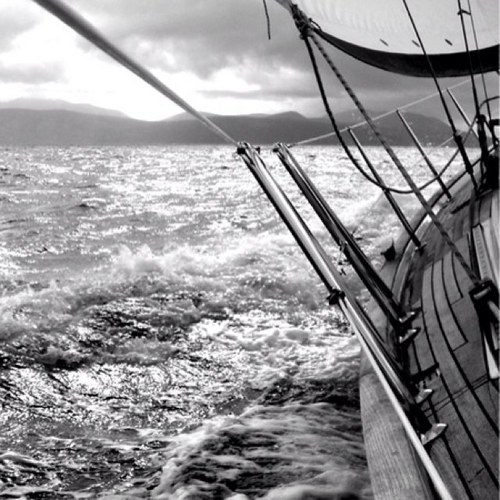 plubraich's profile picture. 