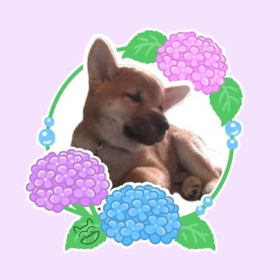 しばわんこ3匹天下分け目の大合戦 (@BanYuzu) / Posts / X