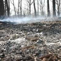 ewin674's profile picture. Dagmar. Fotografie und Journalismus bestimmen meinen Alltag.