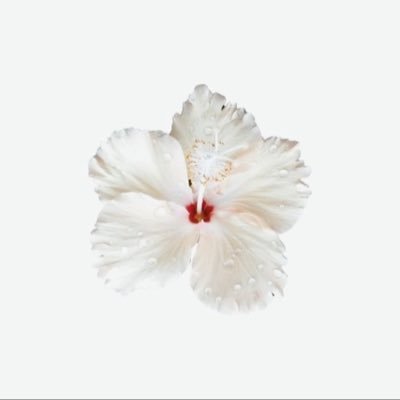 Kinda19895651's profile picture. 