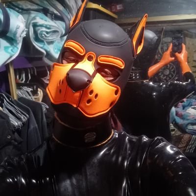 18+ ONLY | 29yo | | am doggo and full time raccoon best treat me like one