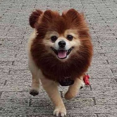 sho_cz0315's profile picture. ☺️💚🏹͙❤️‍🔥￤🙈♥️🌹￤️️️ ⛅️☀️￤💌🤍💍🐟