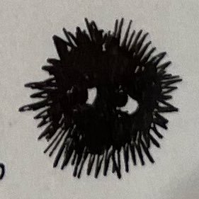 ani_sissel's profile picture. ~*Nikon D5600*~*趣味で写真を撮ります*~*~*~*~*~*~*大体フォロー返します*~* #写真好きな人と繋がりたい *~*