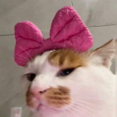 estherdutraa's profile picture. pensamentos aleatórios & espionagem de perfis