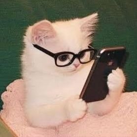 OmarKhaled2277's profile picture. Software Engineer