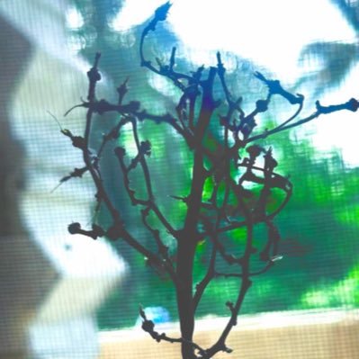 EmmyMatric's profile picture. 