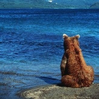 nebula_149's profile picture. Robotics engineer