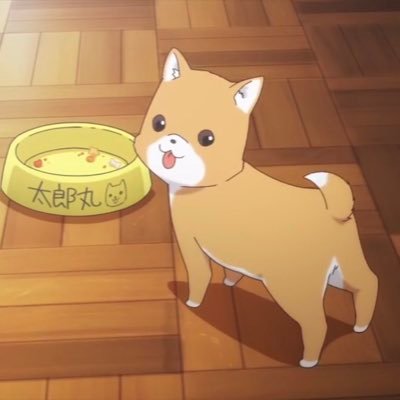 ___bn_f's profile picture. 