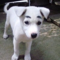 존동 (@sunggashim) 's Twitter Profile Photo