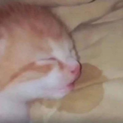 Tuan574493's profile picture. 