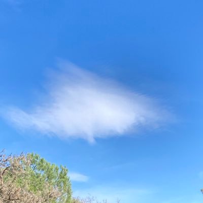 NRedBoots's profile picture. 