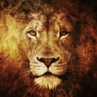 Preetinder Singh (@quickcook123) 's Twitter Profile