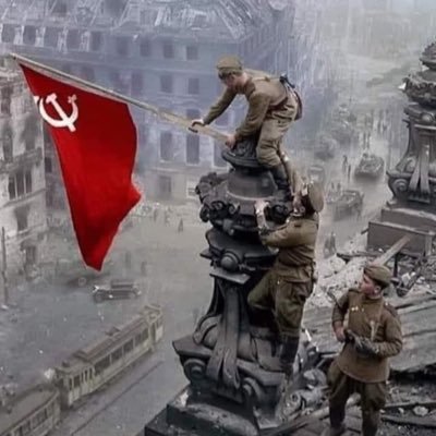 vidal_guido's profile picture. 