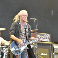 Zeppelin (@thomast12698) 's Twitter Profile Photo