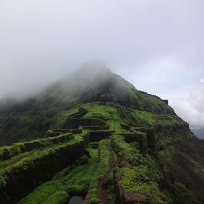 Dustybun777's profile picture. 