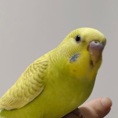 非さんのプロフィール画像