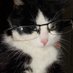 ْ (@45cx1_) Twitter profile photo ْ (@45cx1_) Twitter profile photo