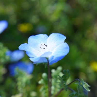 X___noa__X's profile picture. 