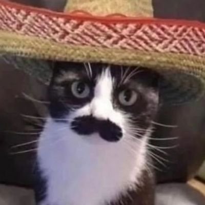 vicrubos's profile picture. me llaman